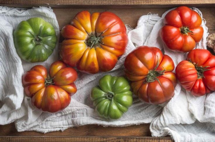 All About Heirloom Tomatoes 5 Things You Need To Know Minneopa Orchards Heirloom 4 735x484