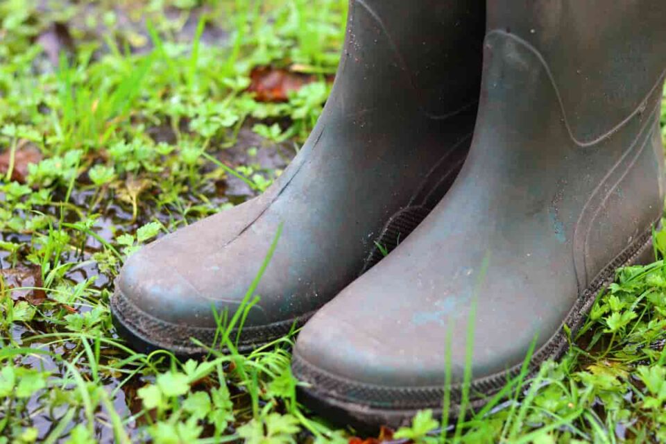 8 of the Best Garden Shoes For Men Minneopa Orchards