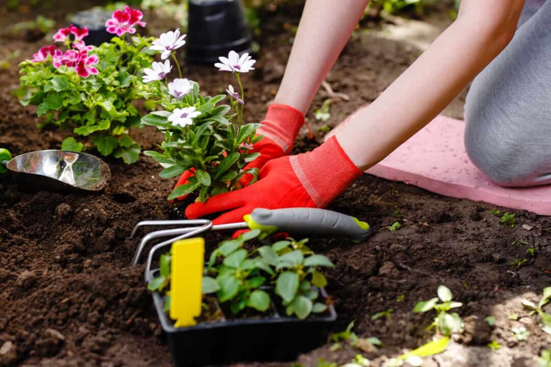 5 of the Best Gardening Knee Pads for Ultimate Comfort! Minneopa Orchards