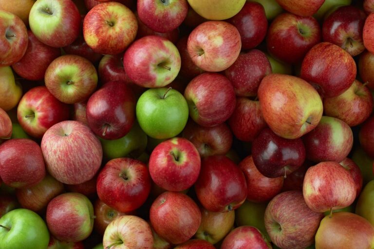 Complete Guide To Apple Tree Pollination Minneopa Orchards