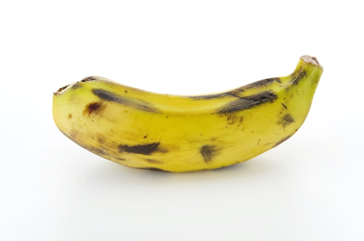 The Apple Banana Tree Minneopa Orchards