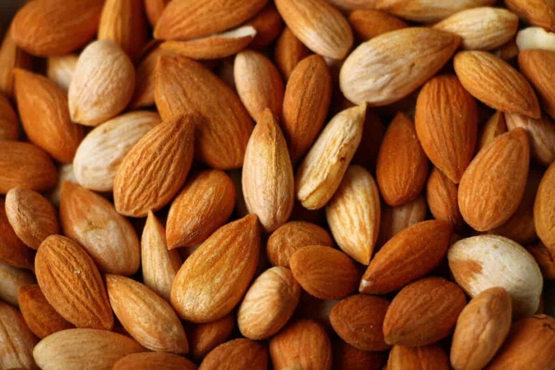 how-to-plant-apricot-seeds-minneopa-orchards