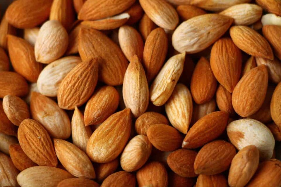 How to Plant Apricot Seeds Minneopa Orchards