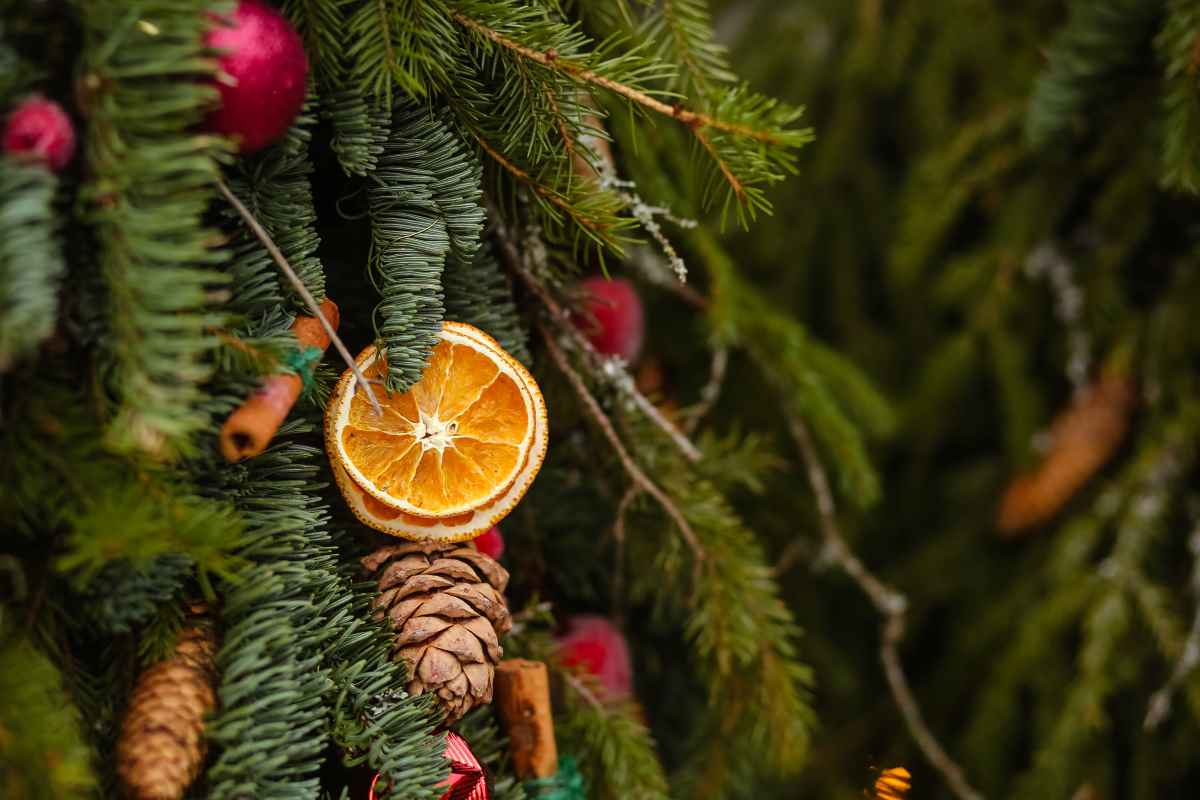 The 9 Best Christmas Tree Farms in Maine Minneopa Orchards