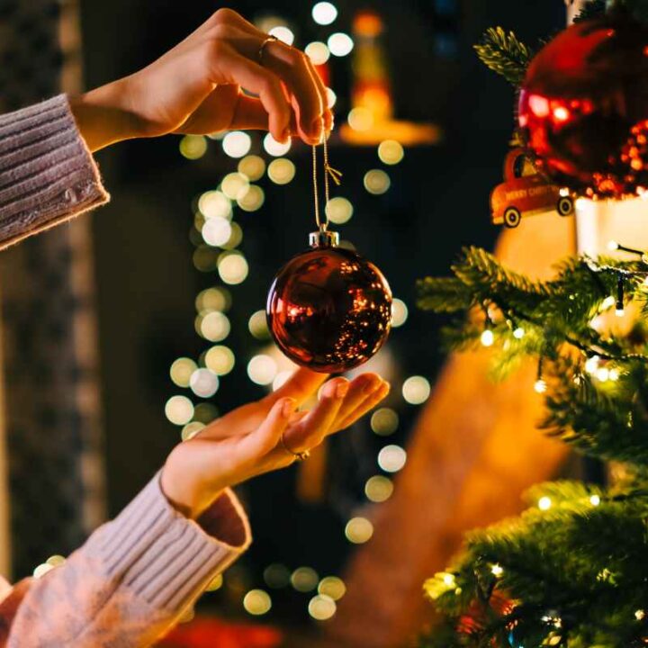 Destination Christmas Tree Farms Minneopa Orchards