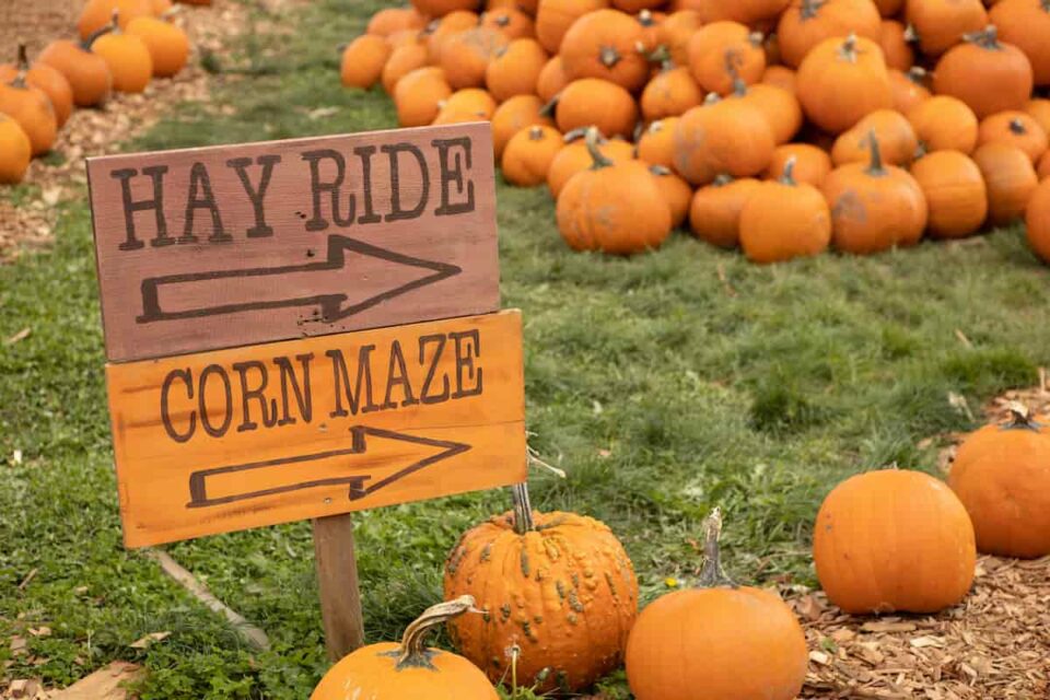 9 of the Best Pumpkin Patches in Nebraska Minneopa Orchards
