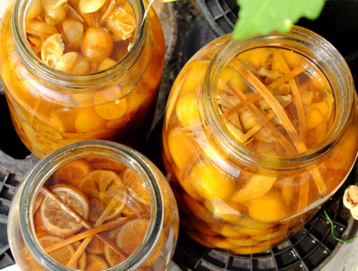 Harvesting Kumquat Fruit Everything You Need to Know to Enjoy