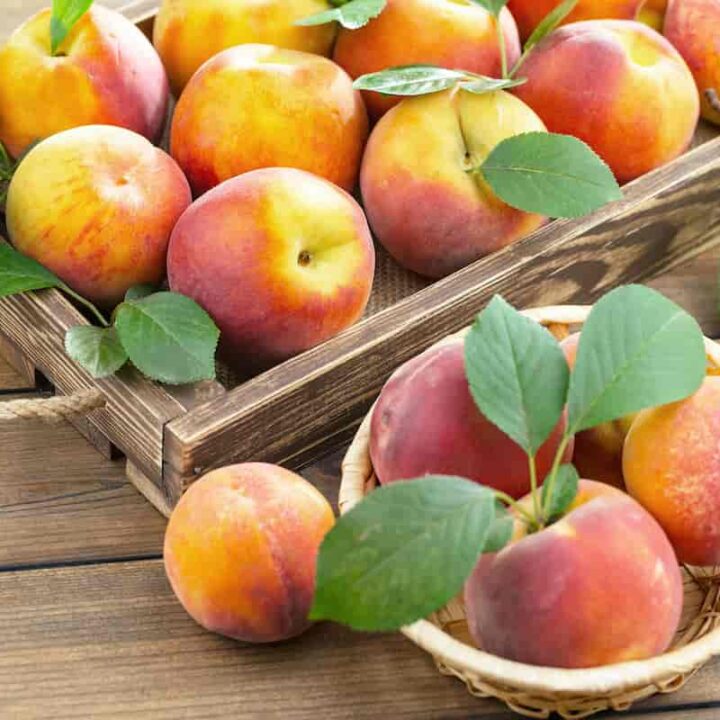 Peaches Usage Minneopa Orchards