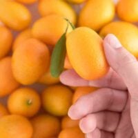 How to Eat a Kumquat
