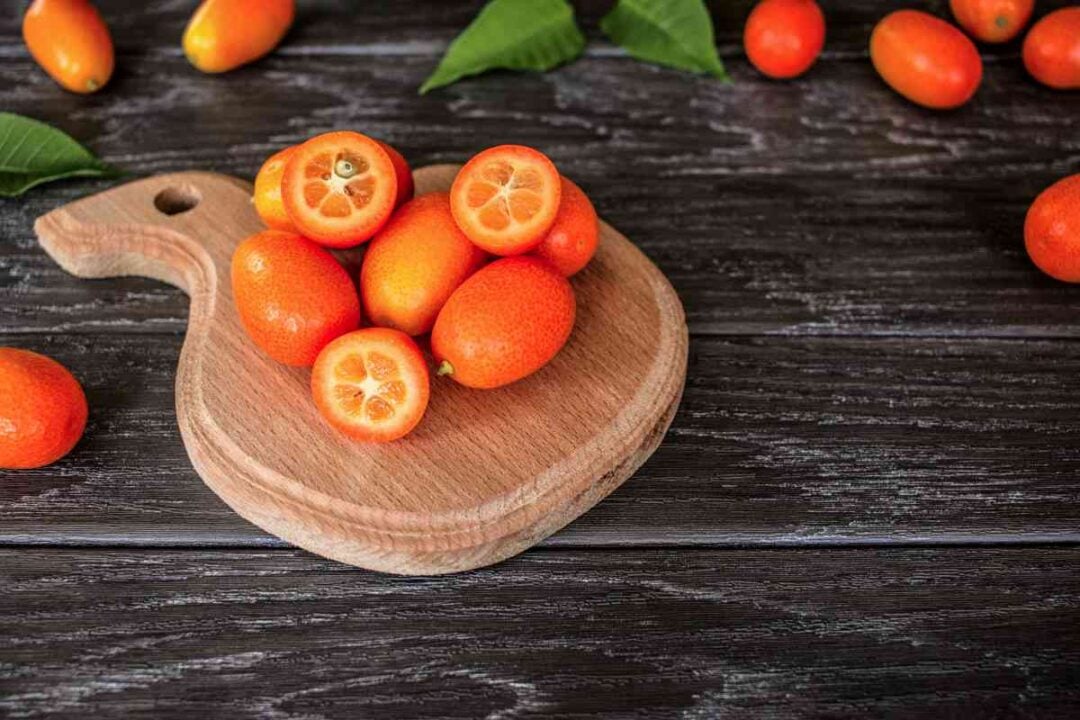 Harvesting Kumquat Fruit Everything You Need to Know to Enjoy