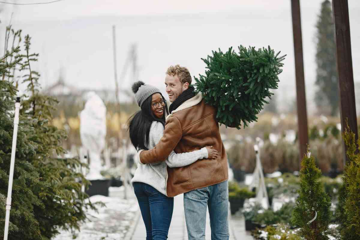 Destination Christmas Tree Farms Minneopa Orchards