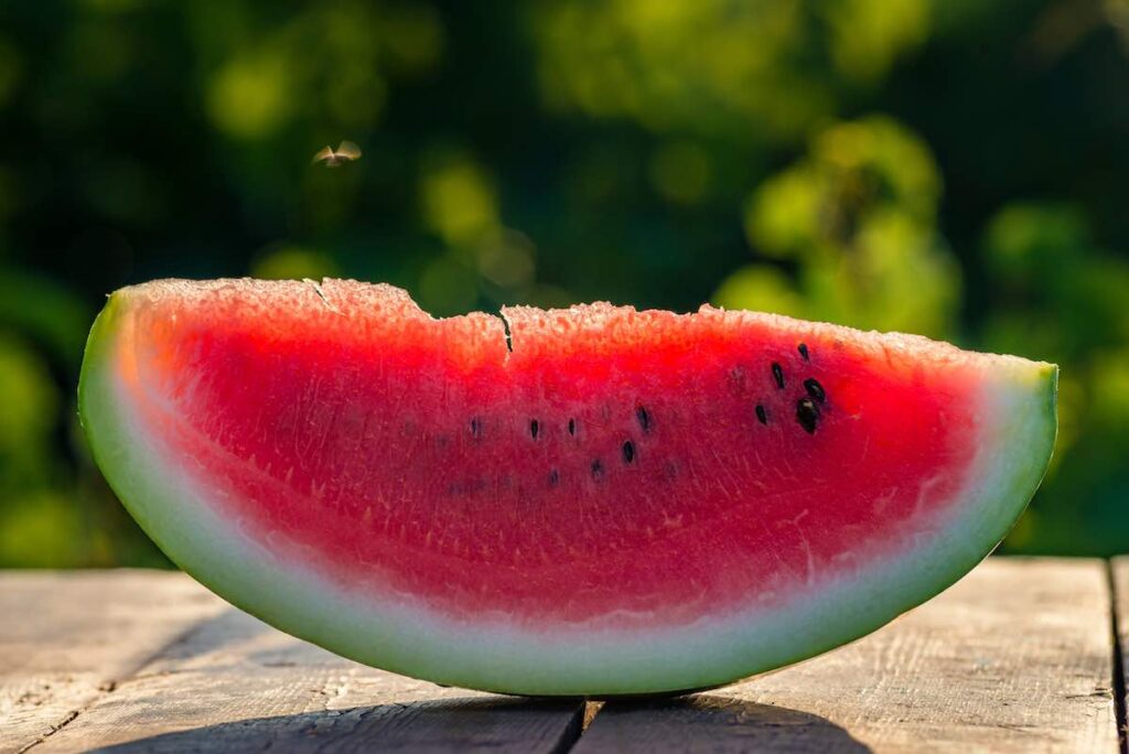 PLanting watermelon