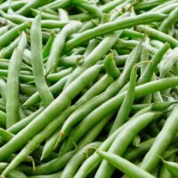 Bush beans