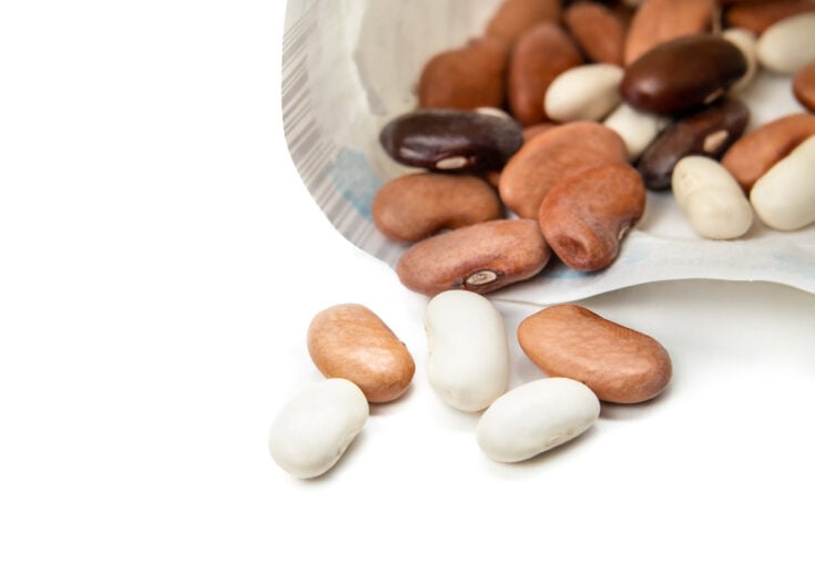 6 Important Facts About Blue Lake Bush Beans Minneopa Orchards