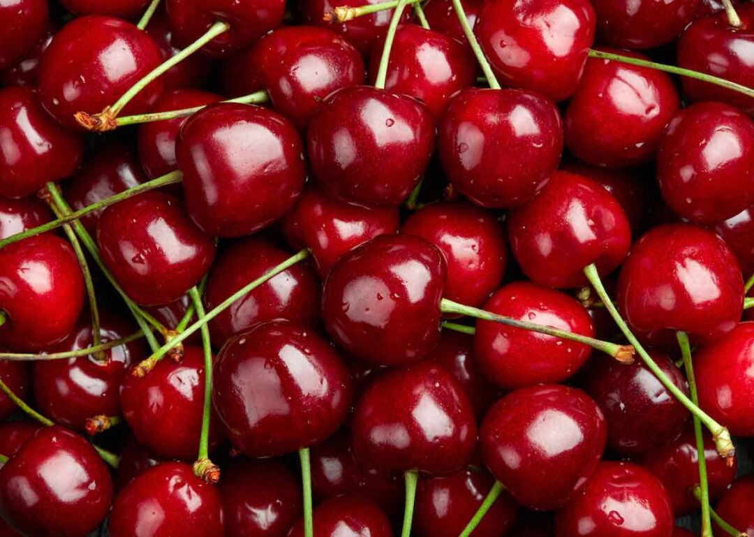 4 Best Tips For How to Harvest Cherries Minneopa Orchards