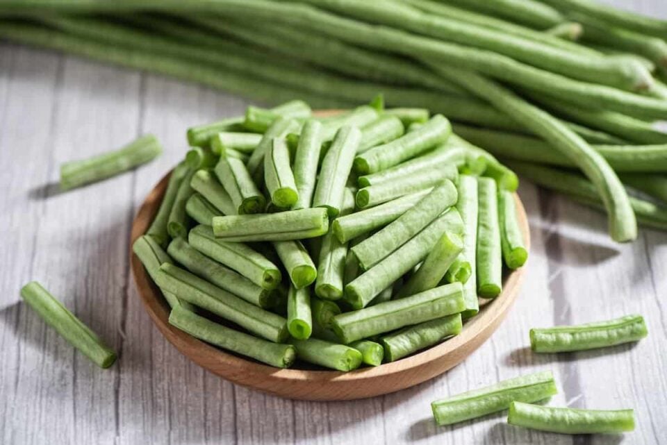 All About Asparagus Beans Minneopa Orchards