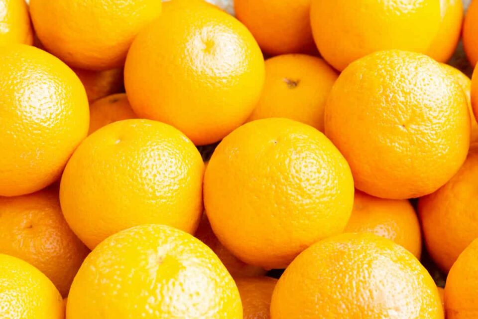 How to Store Oranges and Keep Them Fresh Minneopa Orchards