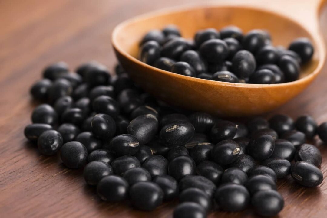 Black Soybeans Minneopa Orchards