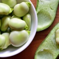 beans from bean plants.