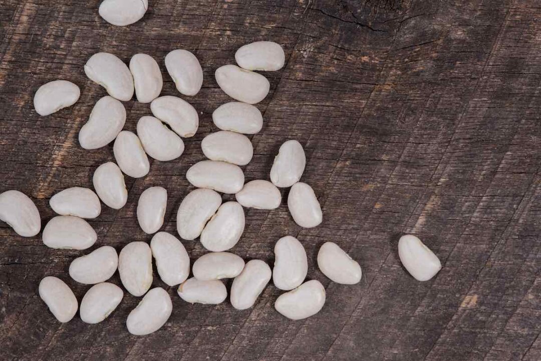 9 Important Facts About The Henderson Lima Bean Minneopa Orchards