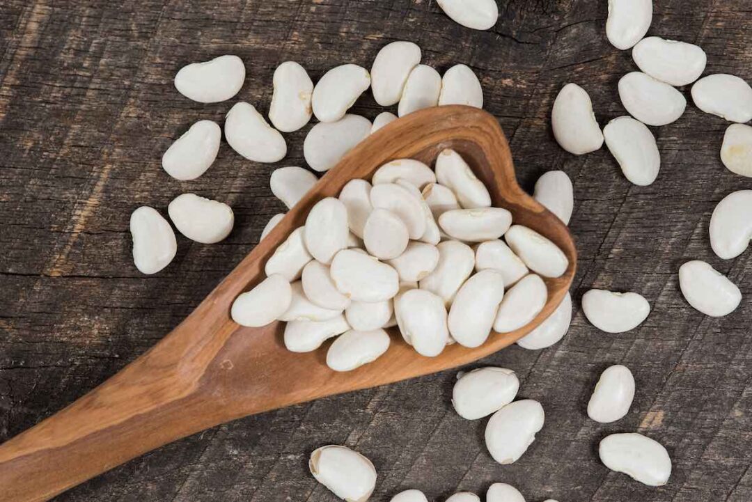 7 Kinds of Lima Beans to Know About Minneopa Orchards