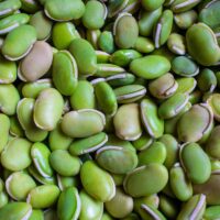 Lima beans