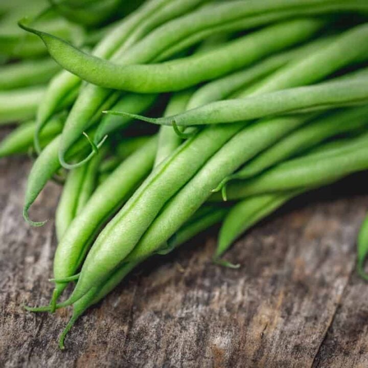 Bean Varieties Minneopa Orchards