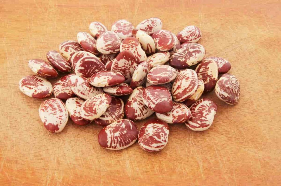 7 Kinds of Lima Beans to Know About Minneopa Orchards