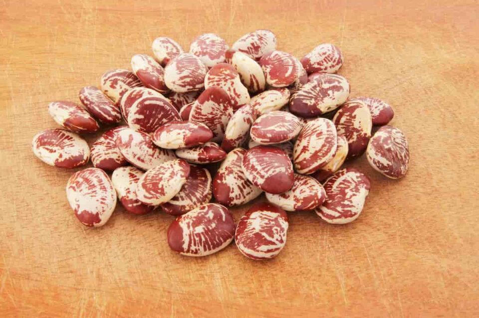 7 Kinds of Lima Beans to Know About Minneopa Orchards