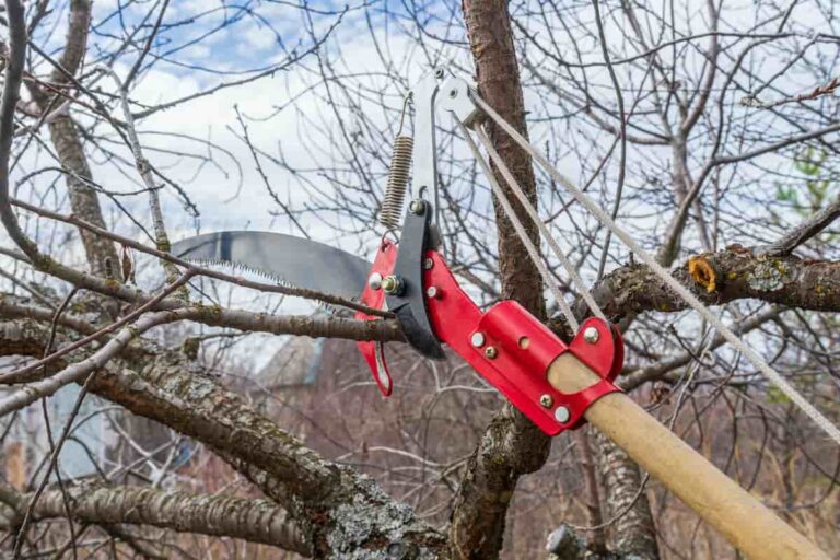 The 10 Best Pruning Saws Minneopa Orchards