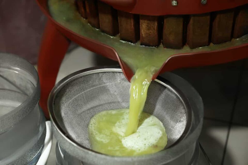 The Best Grape Press for Home Growers Minneopa Orchards