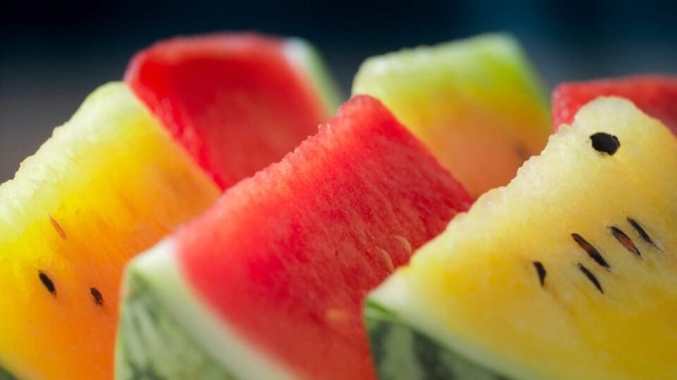 All About Icebox Watermelons Minneopa Orchards