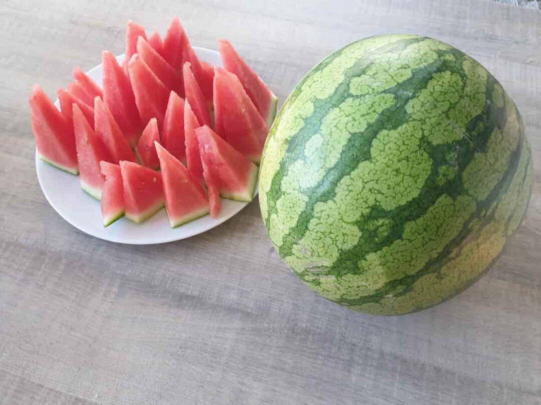 All About Icebox Watermelons Minneopa Orchards