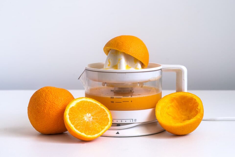 The 11 Best Juicers for Oranges Minneopa Orchards