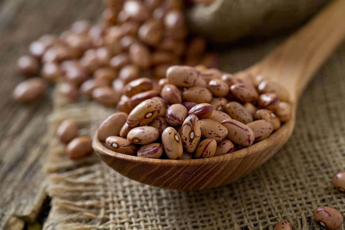 Bean Varieties - Minneopa Orchards