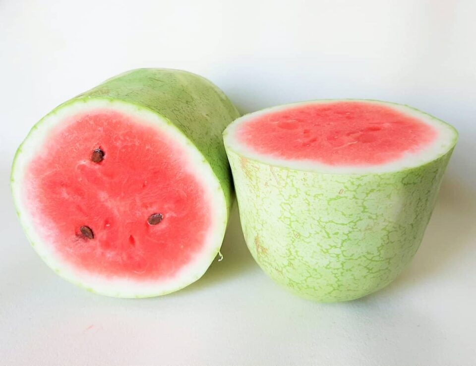The Charleston Gray Watermelon Minneopa Orchards