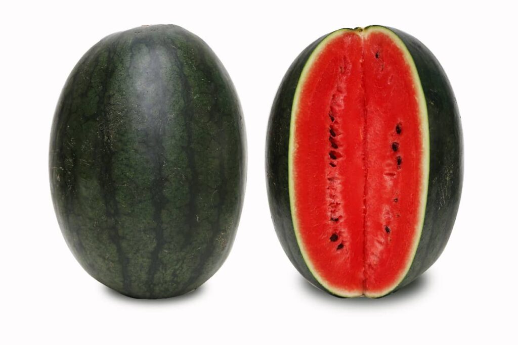 All About The Black Diamond Watermelon Minneopa Orchards