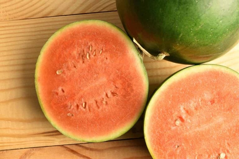 The Blacktail Mountain Watermelon Minneopa Orchards