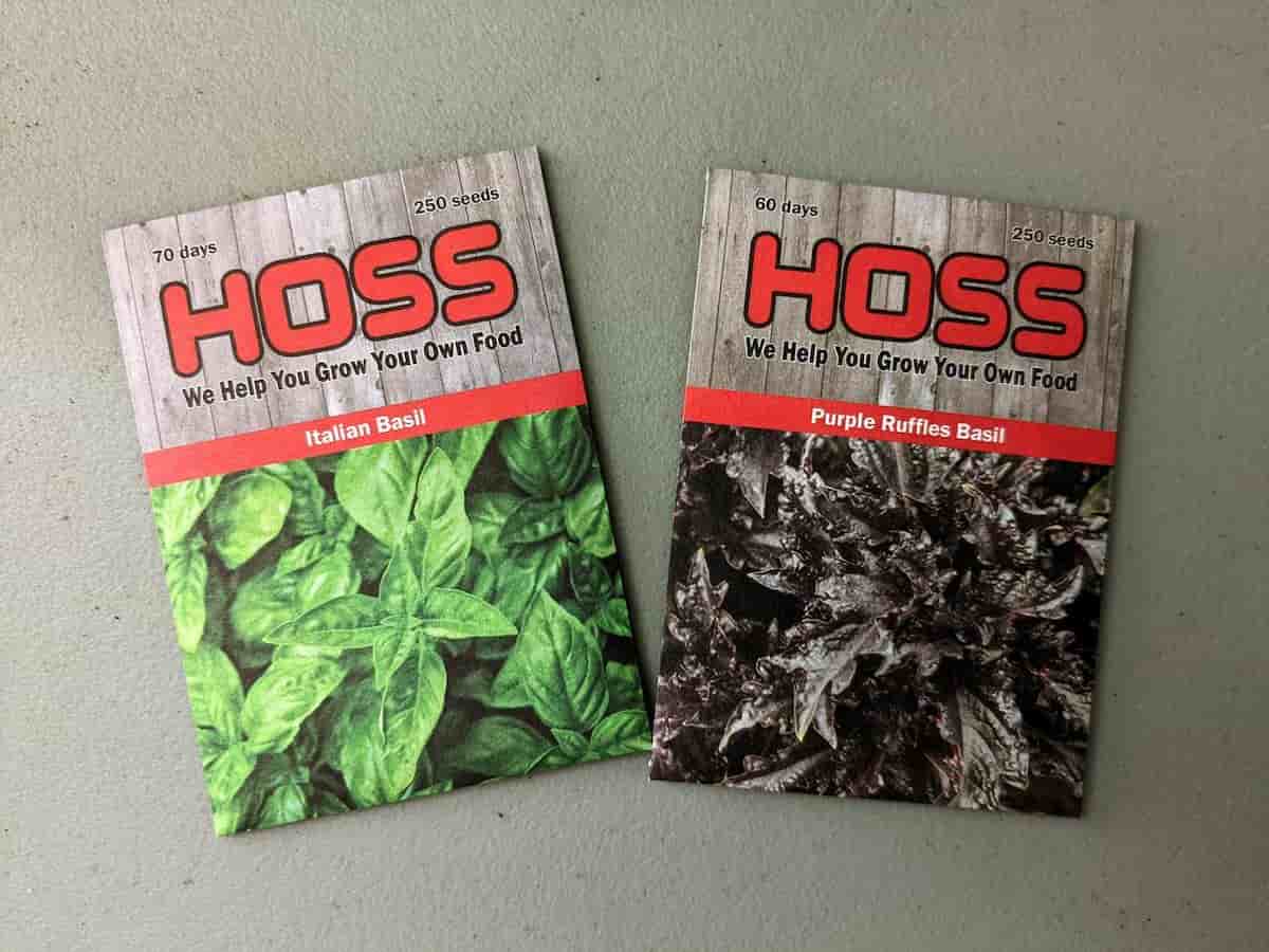 How to Plant Basil Minneopa Orchards