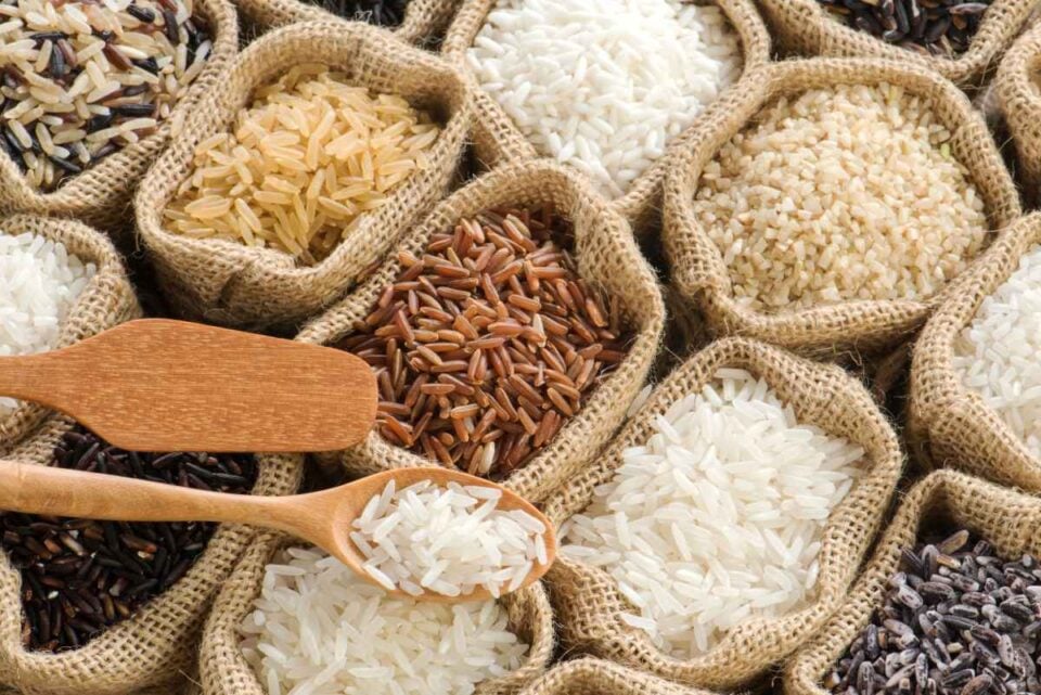 how-to-store-rice-long-term-the-5-best-methods-minneopa-orchards