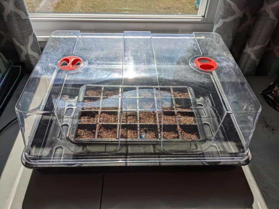 The 8 Best Seed Starting Trays for Indoor Gardeners Minneopa Orchards