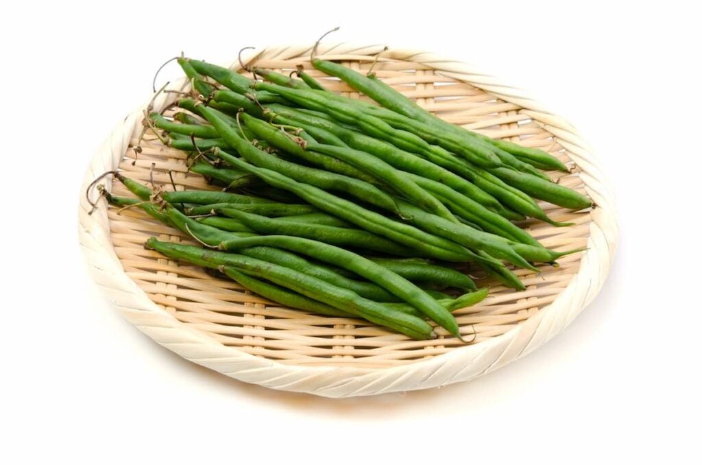 Kentucky Wonder pole beans growing on a string trellis in Maple Valley,  Washington, USA Stock Photo - Alamy