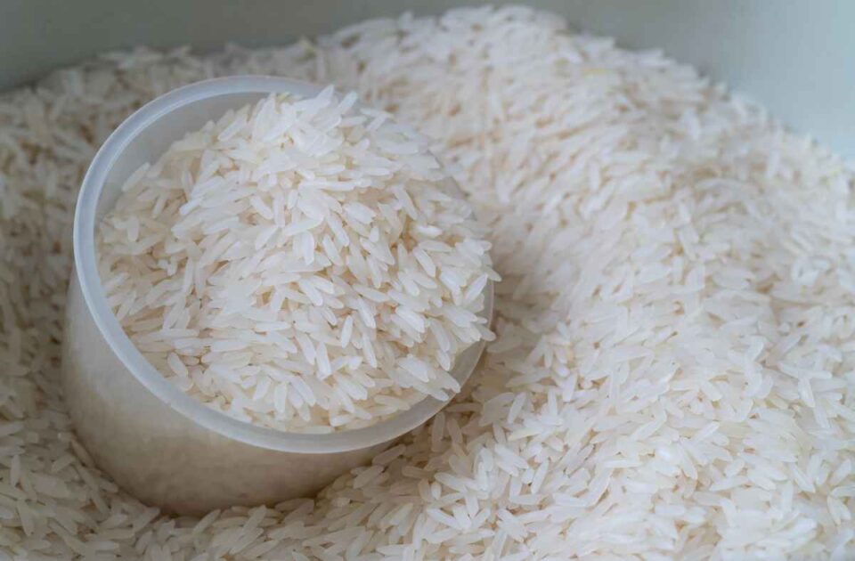 How to Store Rice Long Term The 5 Best Methods Minneopa Orchards