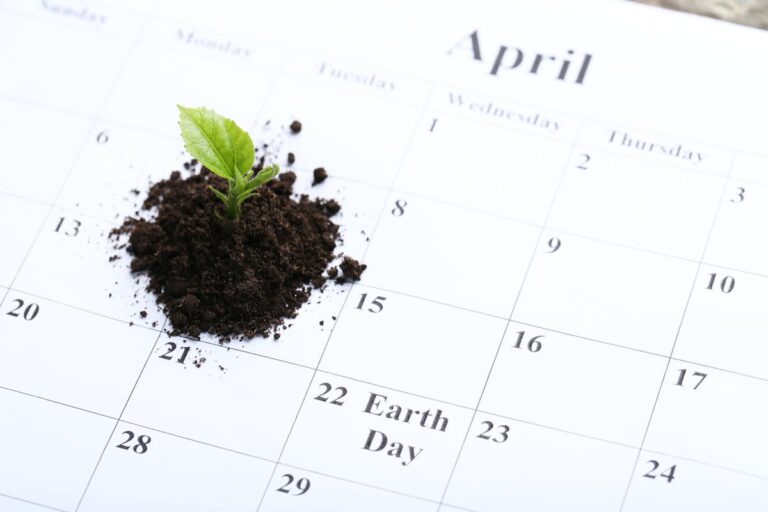 How to Create a Seed Starting Calendar - Minneopa Orchards