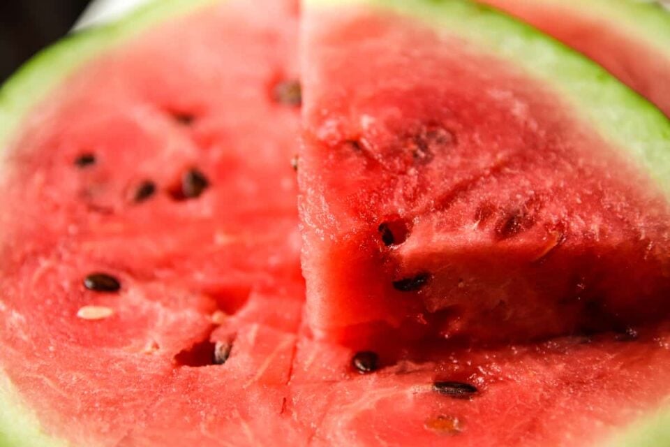 The Allsweet Watermelon - Minneopa Orchards