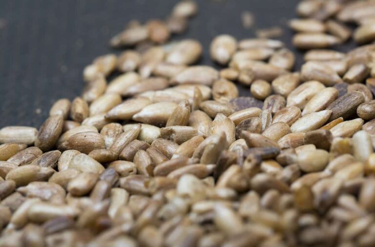 How to Roast Sunflower Seeds Minneopa Orchards