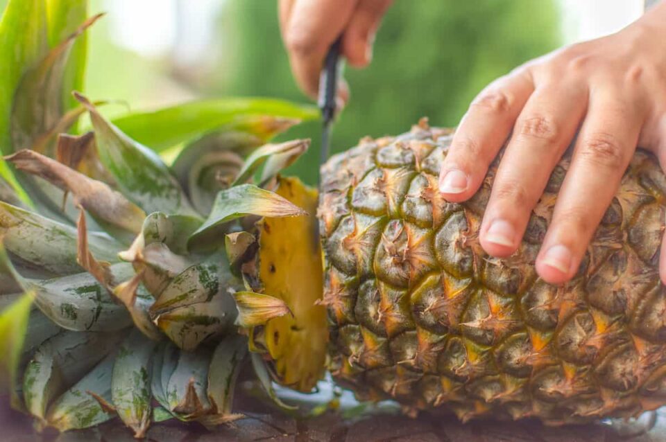 The Antigua Black Pineapple - Minneopa Orchards