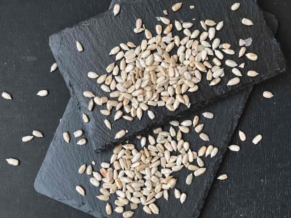 How to Roast Sunflower Seeds Minneopa Orchards