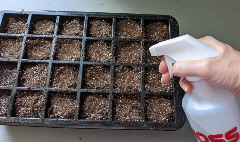 How to Use Seed Starting Plugs Minneopa Orchards