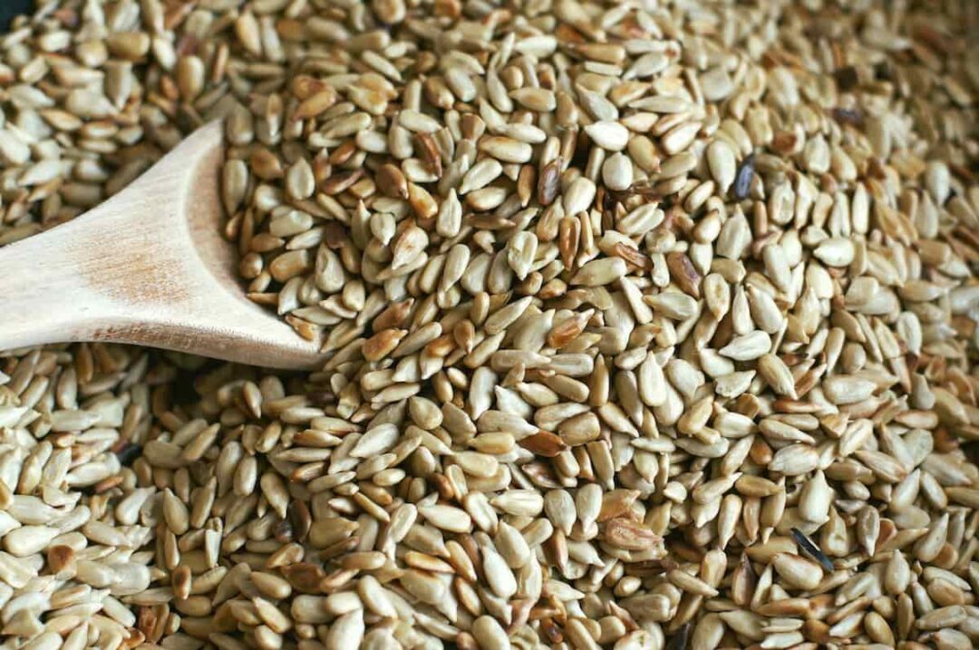 How to Roast Sunflower Seeds Minneopa Orchards